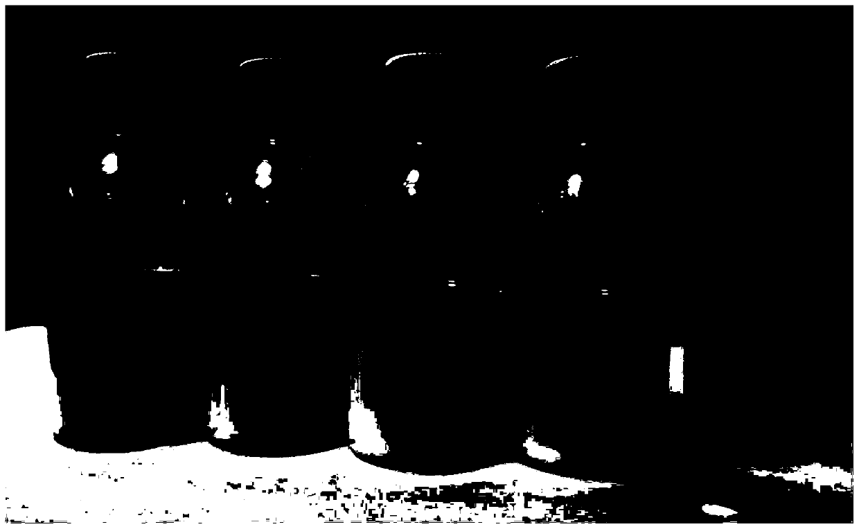 Modified aluminum oxide, aluminum oxide paste, preparation method of aluminum oxide paste, ceramic coating lithium battery diagram and preparation method of ceramic coating lithium battery diagram