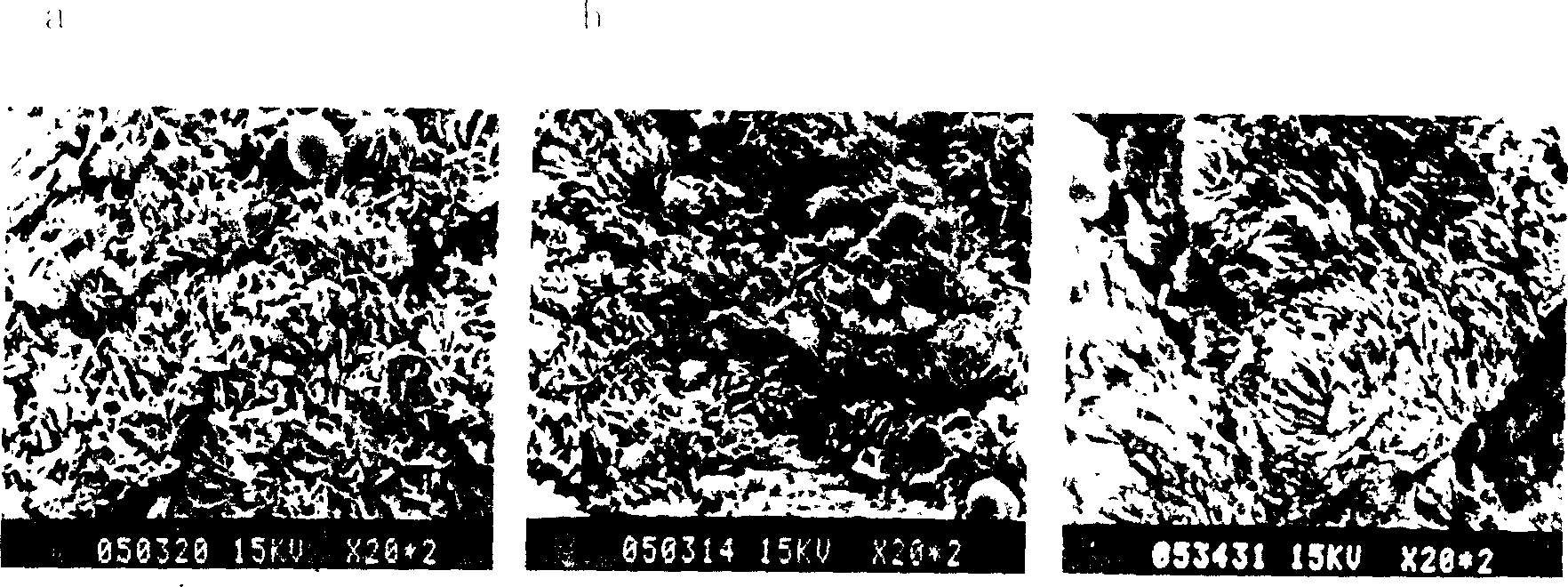 Titanium net with fimbrin and its prepn and application