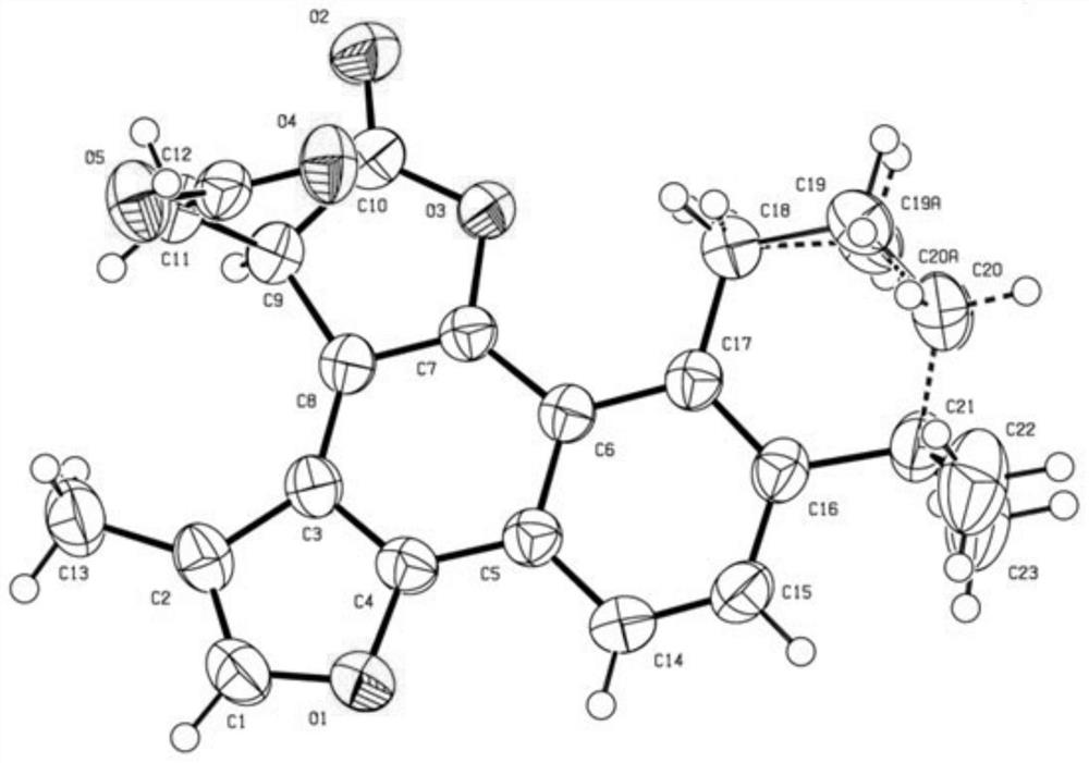 Abietane compound with C-ring combined lactone ring novel skeleton as well as preparation method and application of abietane compound