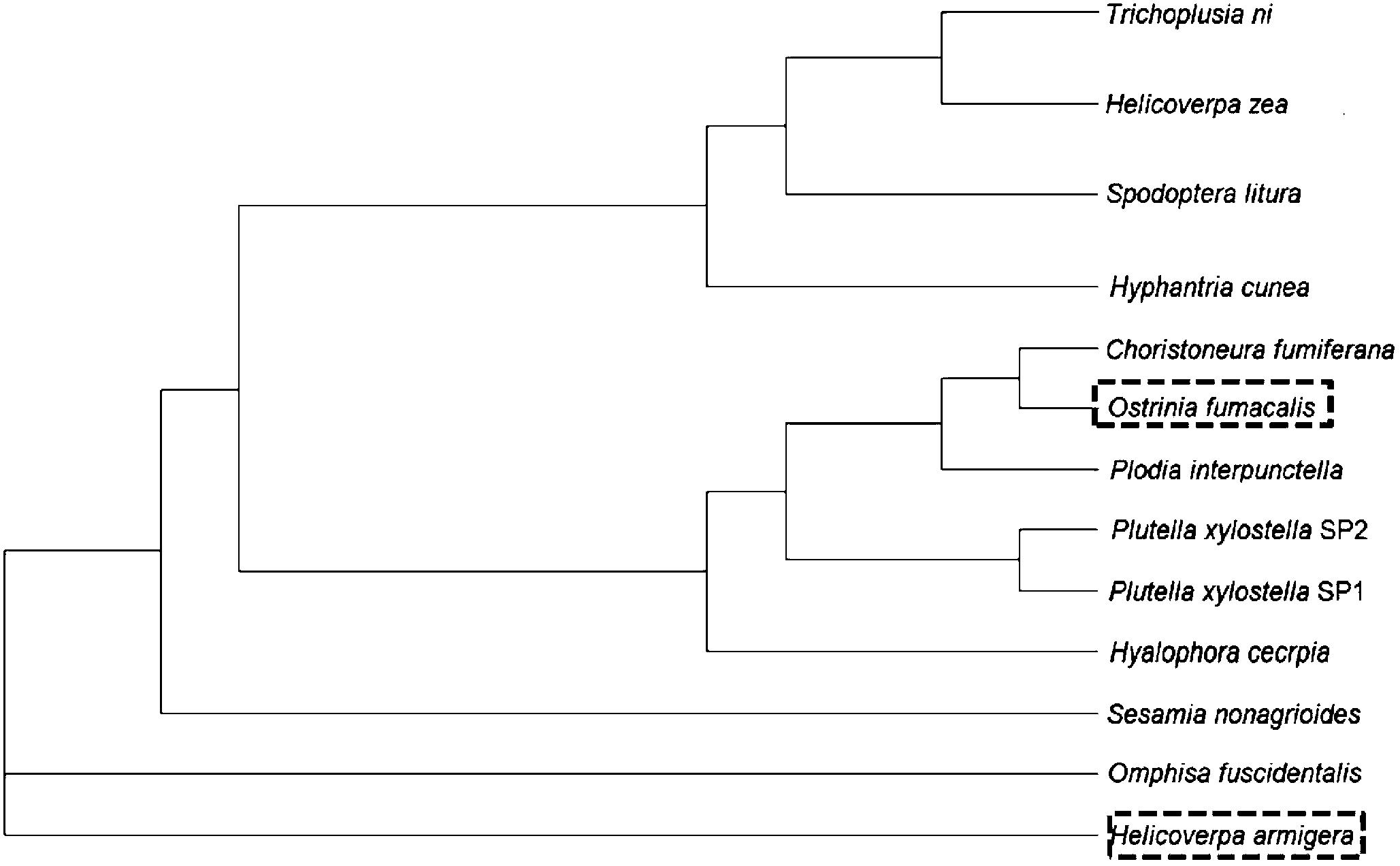 New method for pest control on basis of ribonucleic acid interfere (RNAi) technology