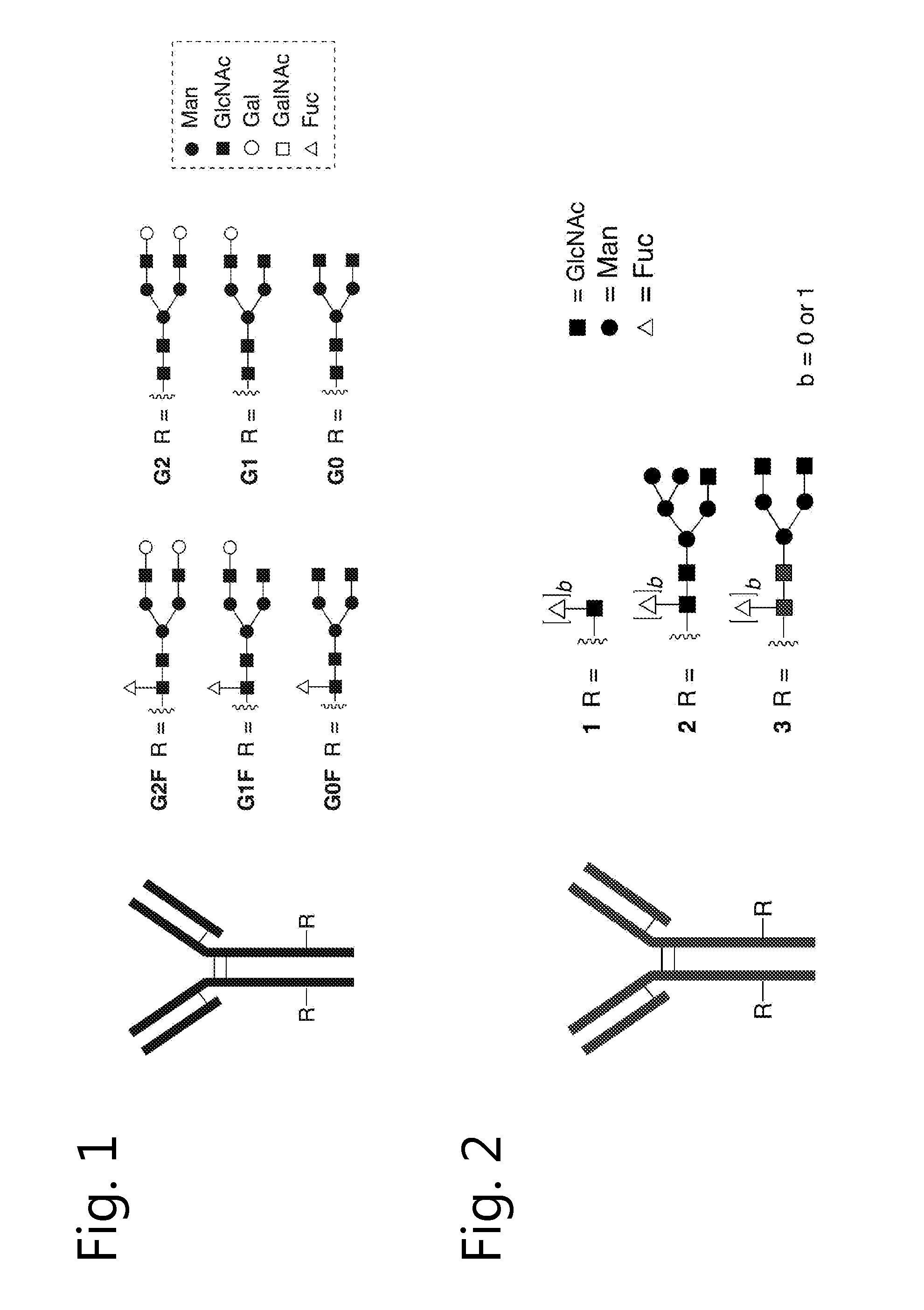 Glycoengineered antibody, antibody-conjugate and methods for their preparation