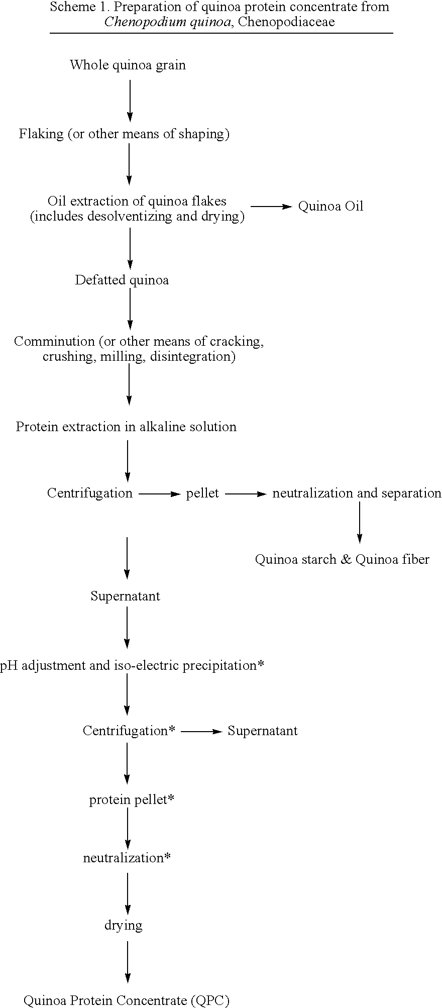 Quinoa protein concentrate, production and functionality