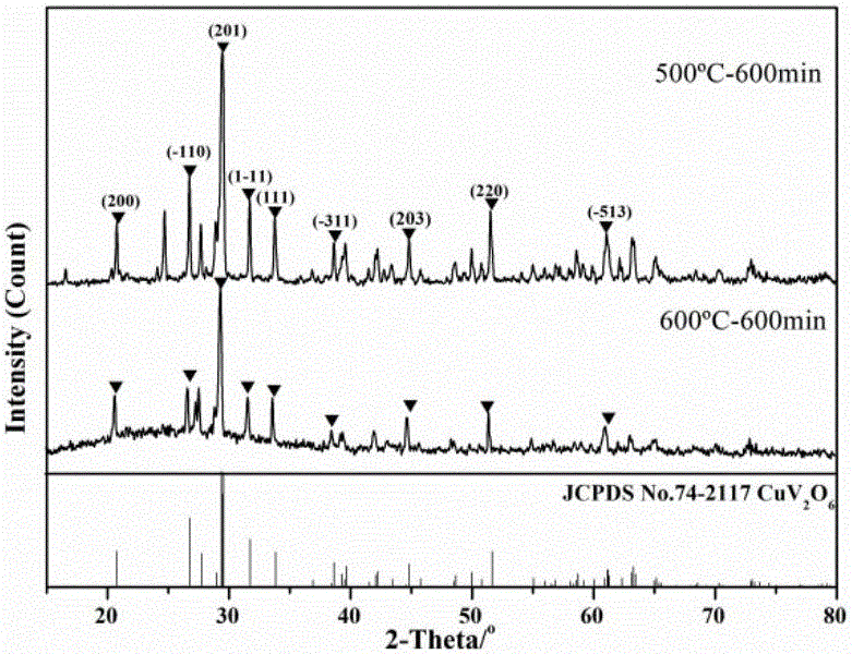 Preparation method of CuxVyOz coating for positive electrode of lithium ion battery