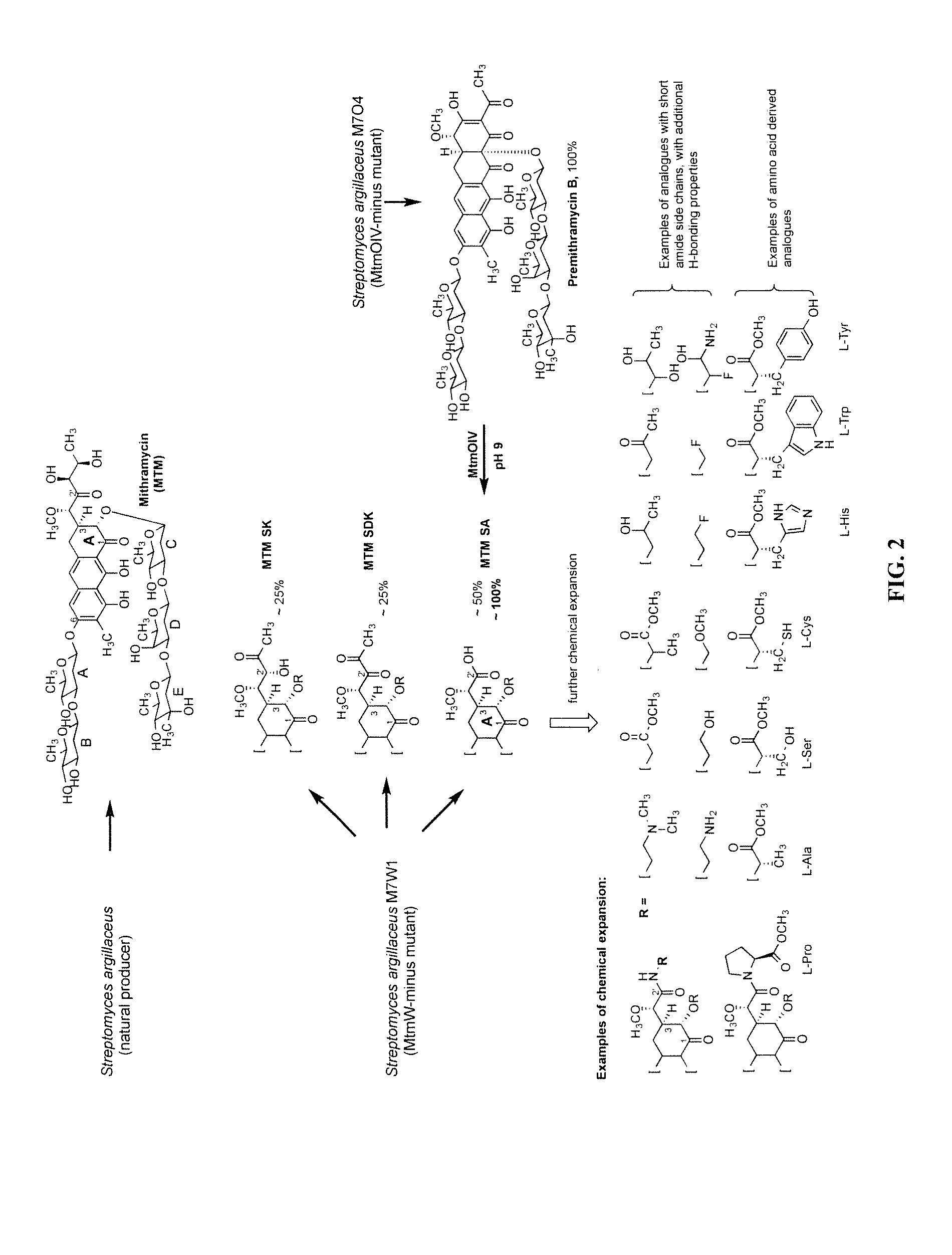 Semi-synthetic mithramycin derivatives with Anti-cancer activity