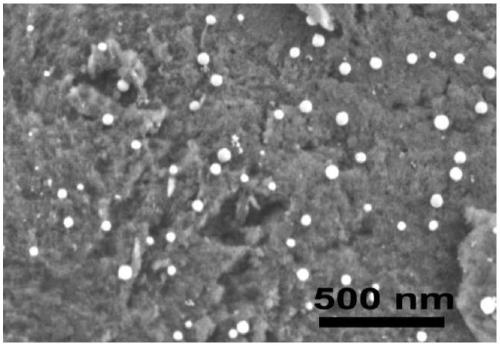 Preparation method of porous carbon-supported nitrogen-containing bimetallic catalyst and electrochemical application thereof