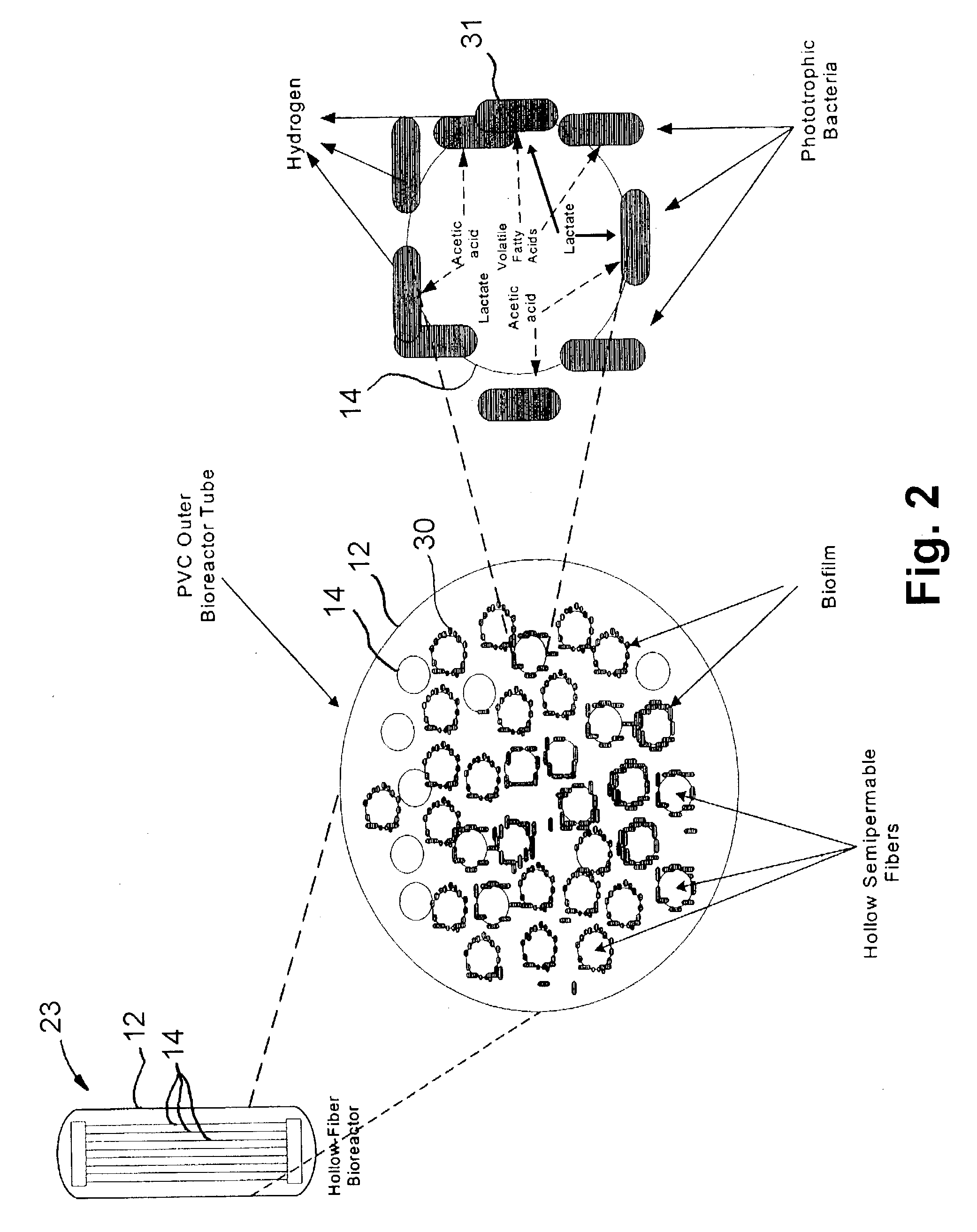 Method and apparatus for hydrogen production from organic wastes and manure