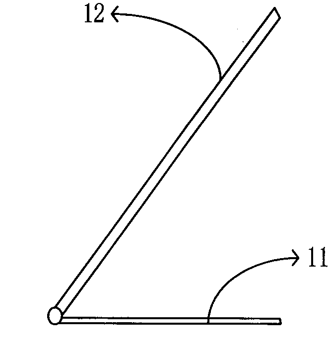 Magnification display device and system