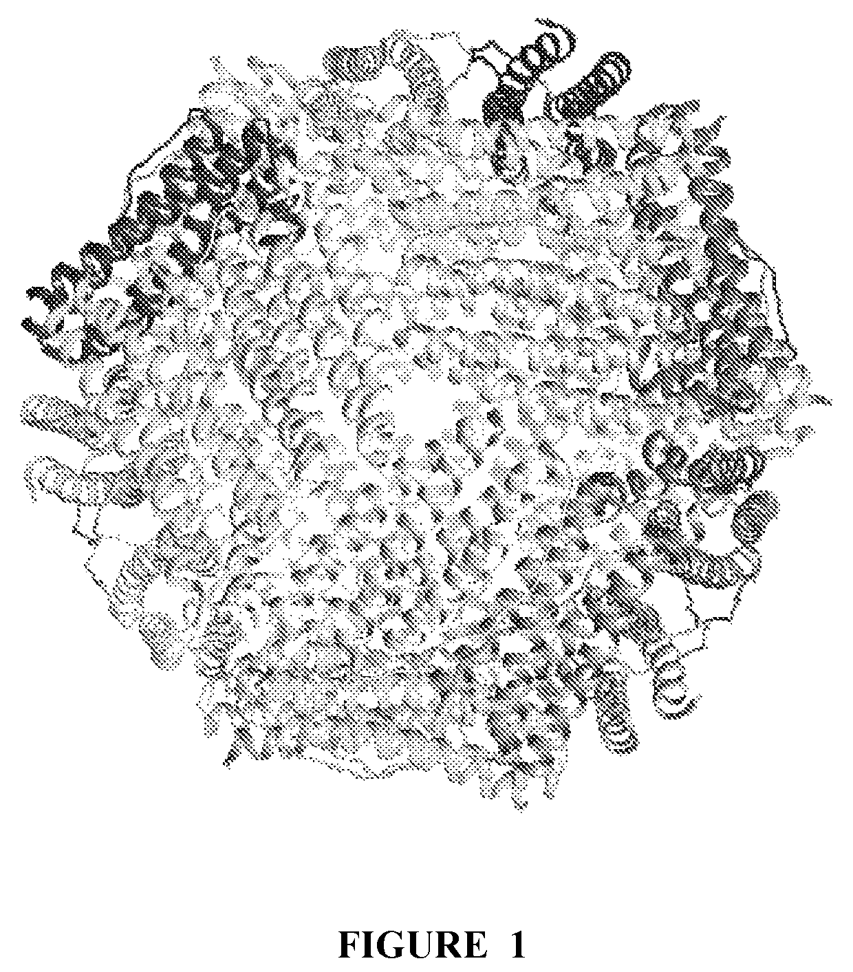 NSP10 self-assembling fusion proteins for vaccines, therapeutics, diagnostics and other nanomaterial applications