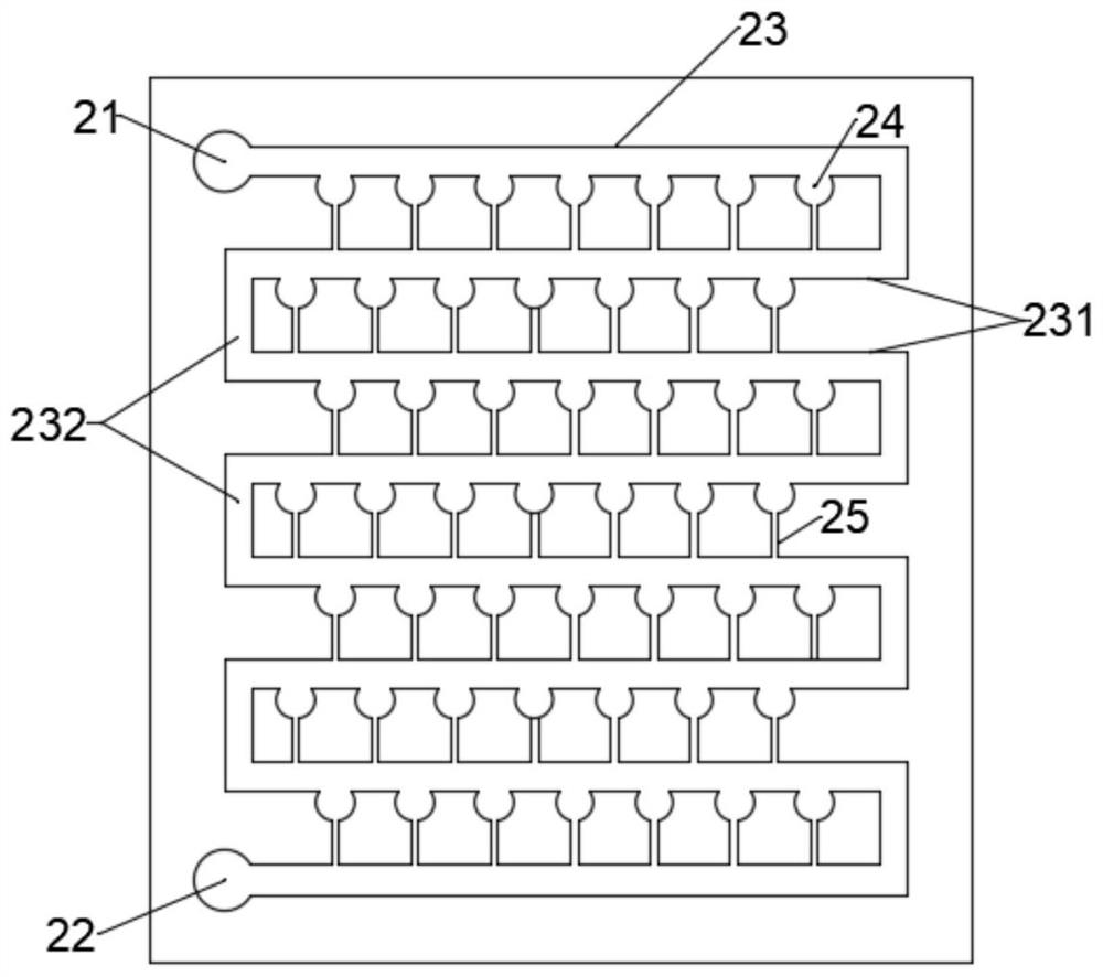 Vertical microbiological detection chip