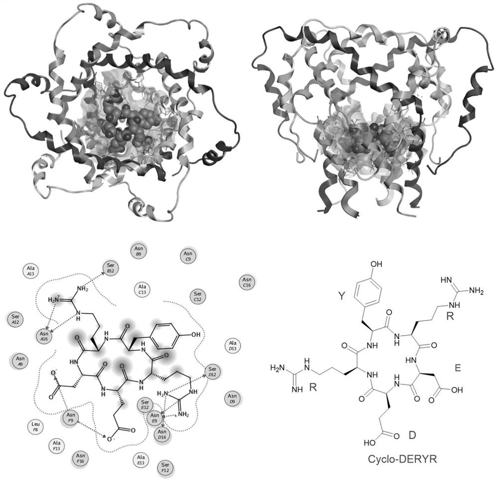 Synthesis method of cyclic pentapeptide and application of cyclic pentapeptide in anti-hepatitis C medicine