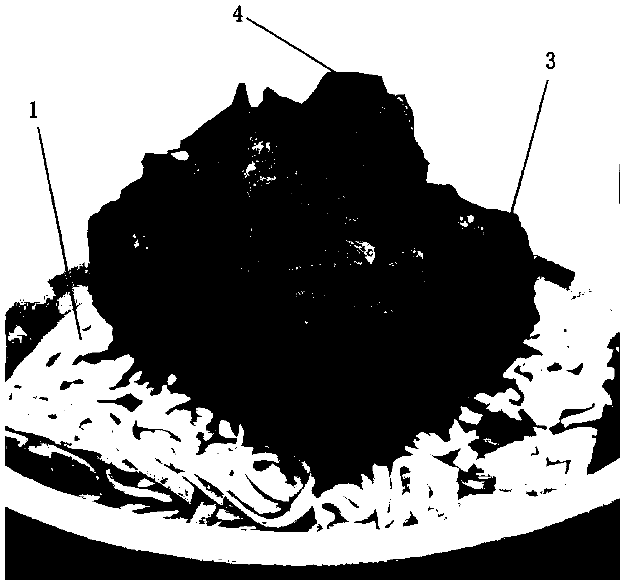 Freeze-dried tomato beef noodle and preparation method thereof