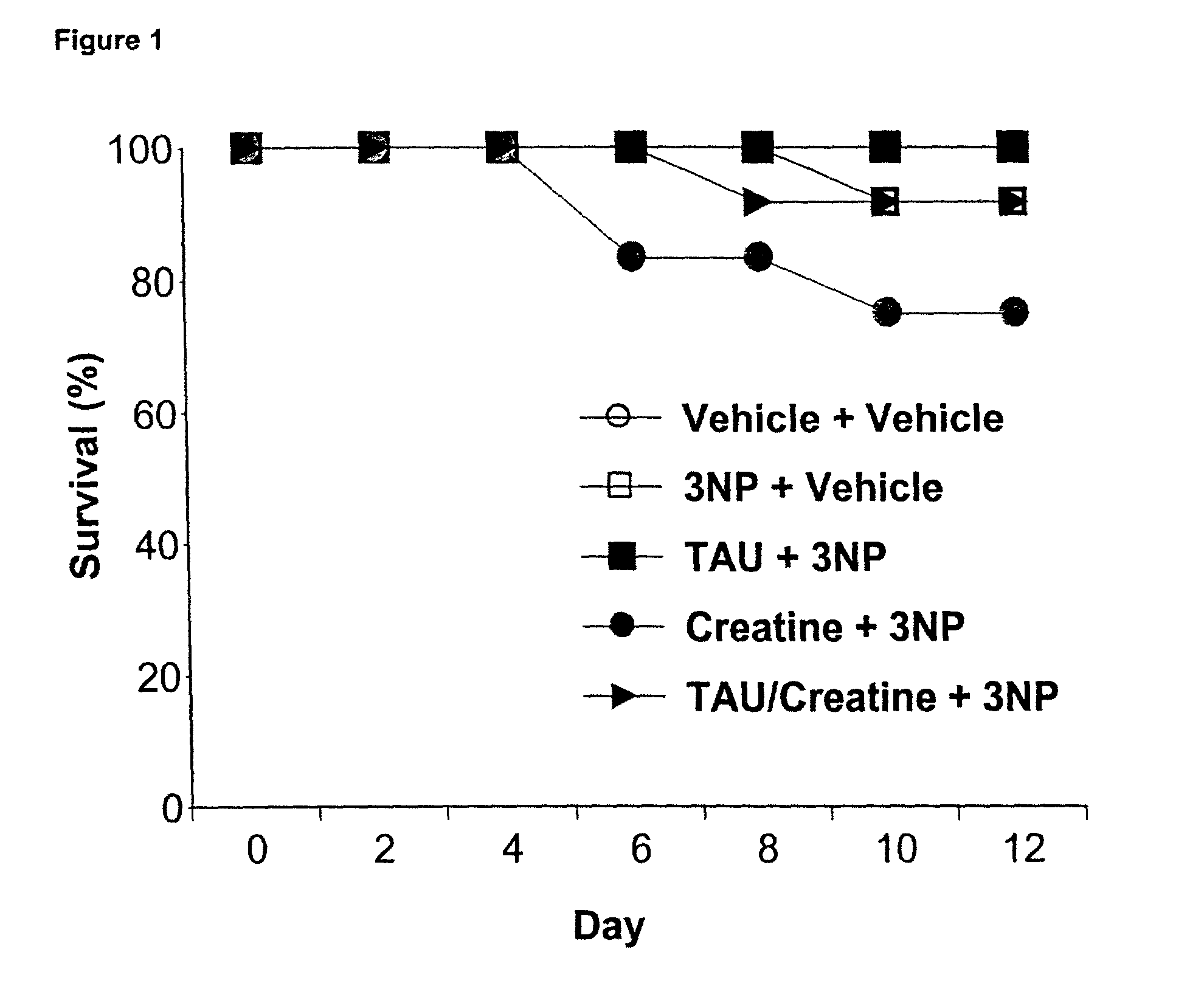 Compositions and methods for treatment of mitochondrial diseases