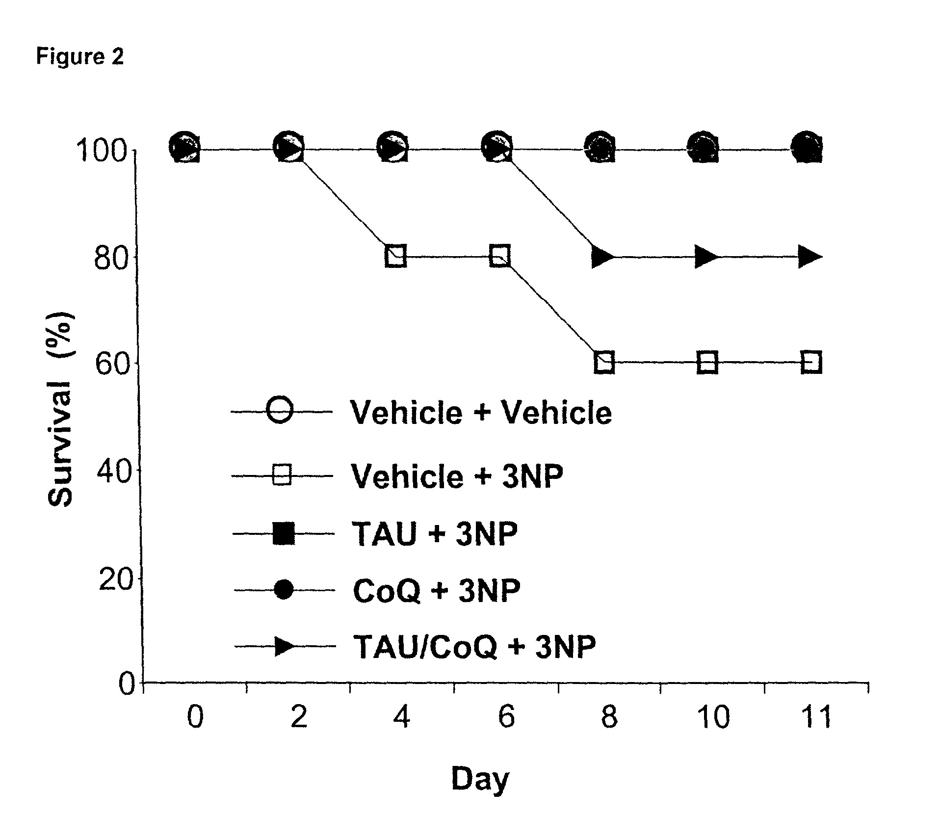 Compositions and methods for treatment of mitochondrial diseases