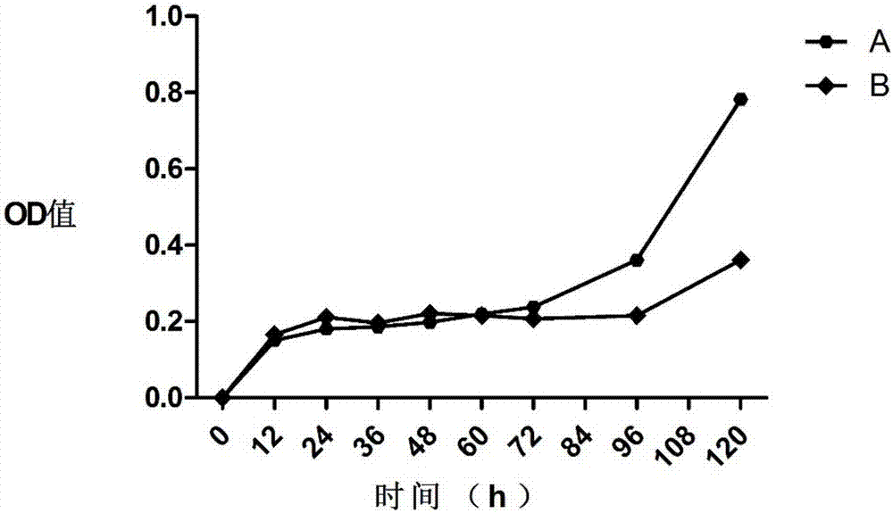 Fat SVF cell clinical high-efficiency preparation and cryopreservation method, and applications thereof