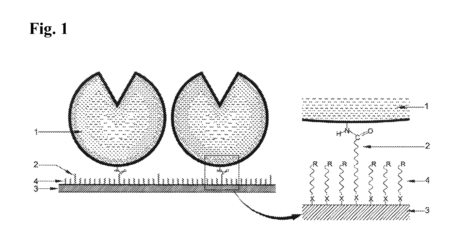 Immobilized DNA polymerase