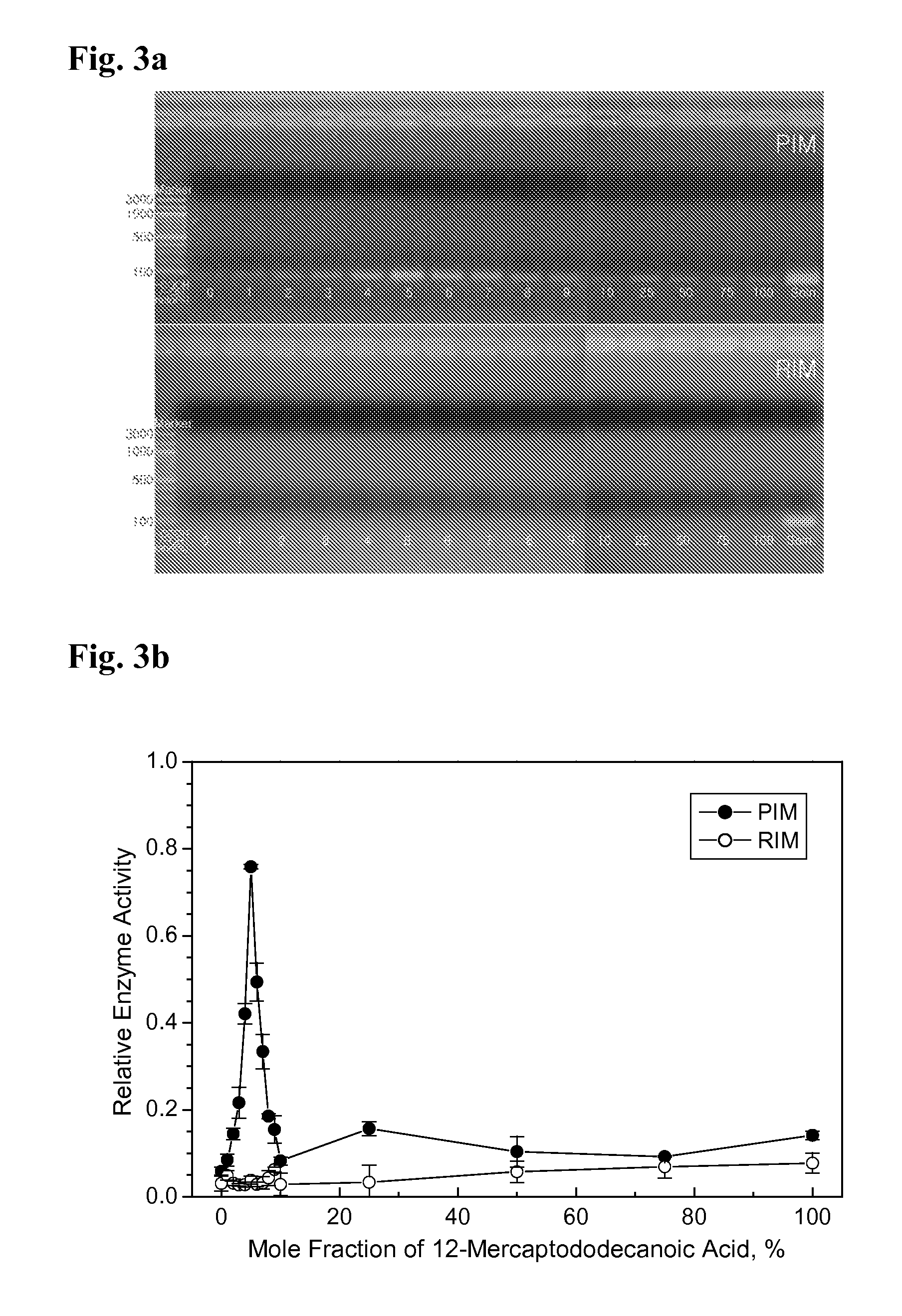 Immobilized DNA polymerase