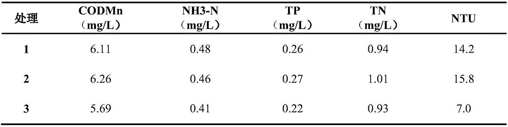 Rhodobacter sphaeroides K73 bacterial strain and application of rhodobacter sphaeroides K73 bacterial strain to surface water ecological purification