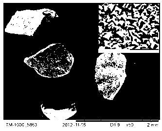 Core-shell structure catalyst and method for preparing low-carbon olefin by using synthetic gas one-step method