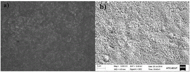 A method of photocatalytic synthesis of a jackfruit filament polysaccharide antibacterial membrane