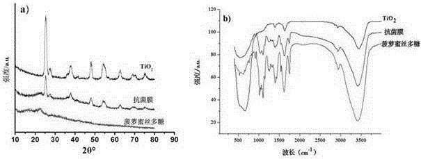 A method of photocatalytic synthesis of a jackfruit filament polysaccharide antibacterial membrane