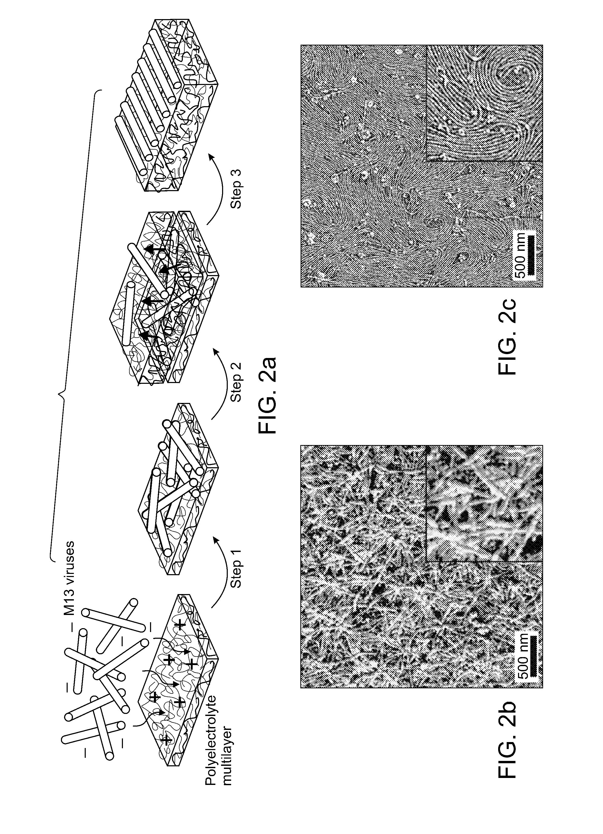 Self-assembly of macromolecules on multilayered polymer surfaces