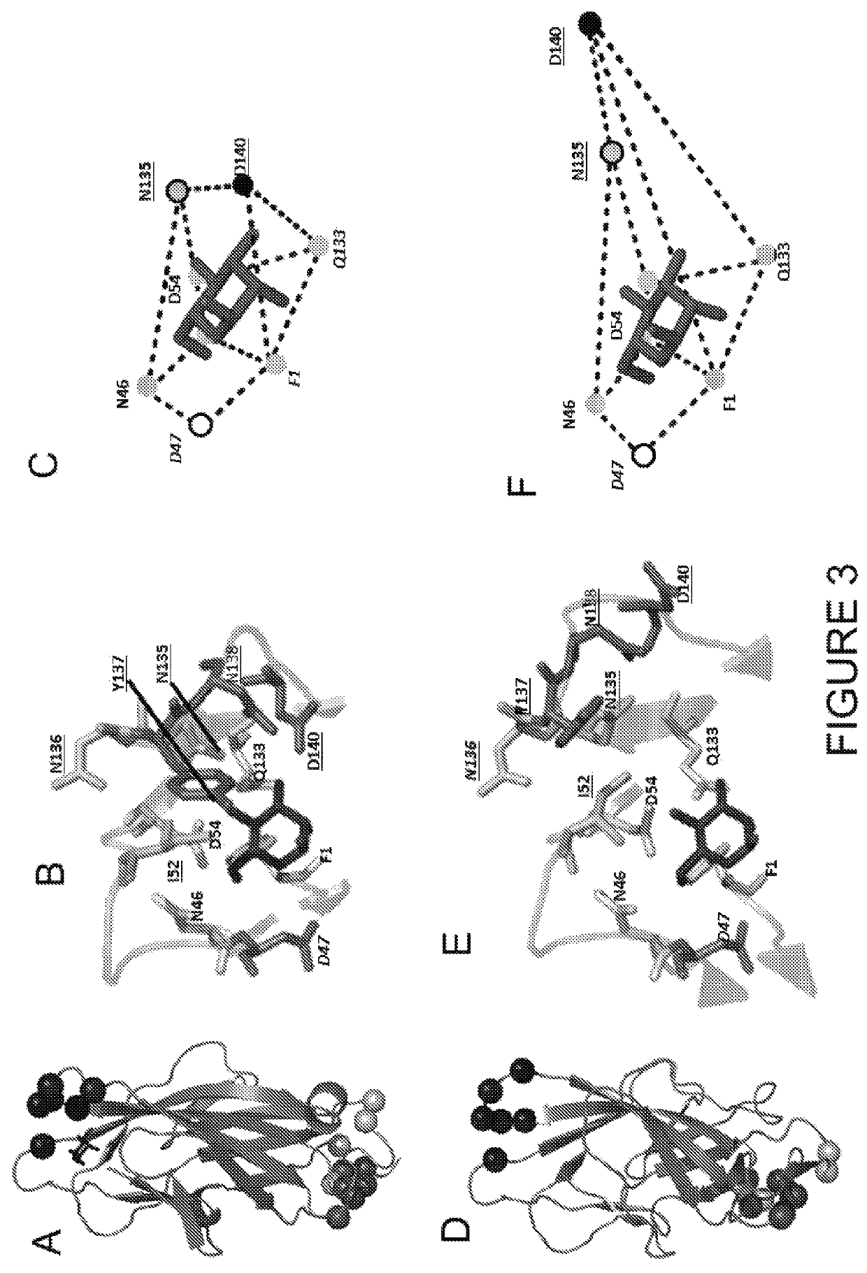 Compositions and methods for treatment and prevention of uropathogenic <i>E. coli </i>infection