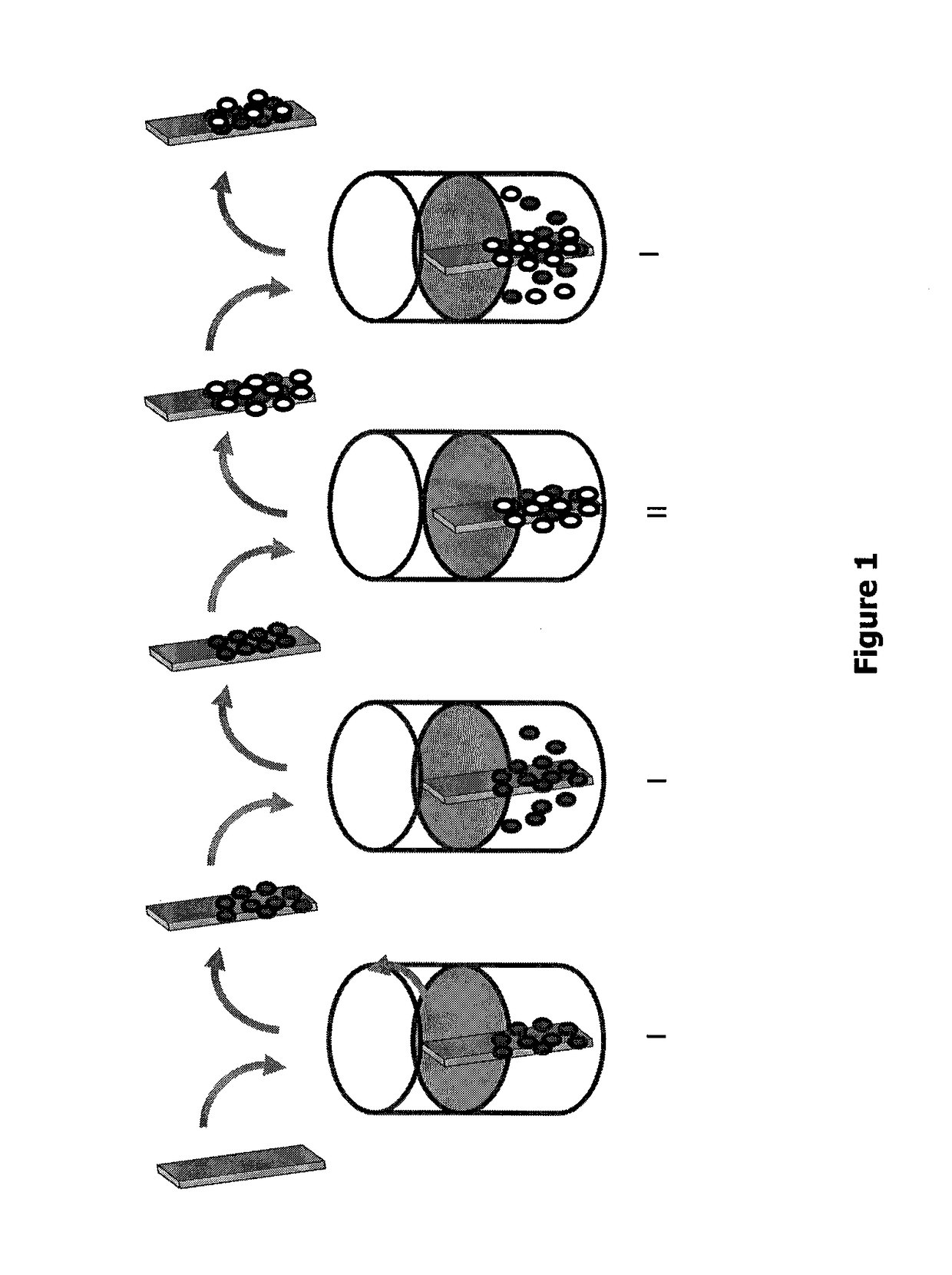 Process for preparing quantum dot array and quantum dot superlattice