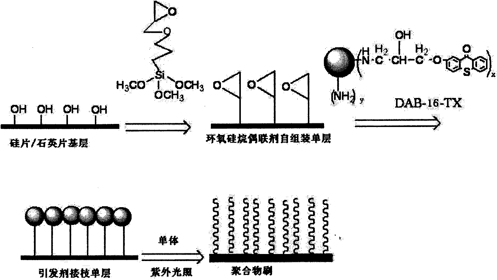 Method for preparing stimulating responsive polymer brush