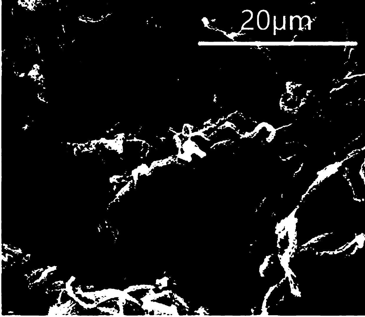 High-magnification carbon nanotubes having ultrafine tube diameter and prepared by two-stage method, catalyst and preparation method of catalyst