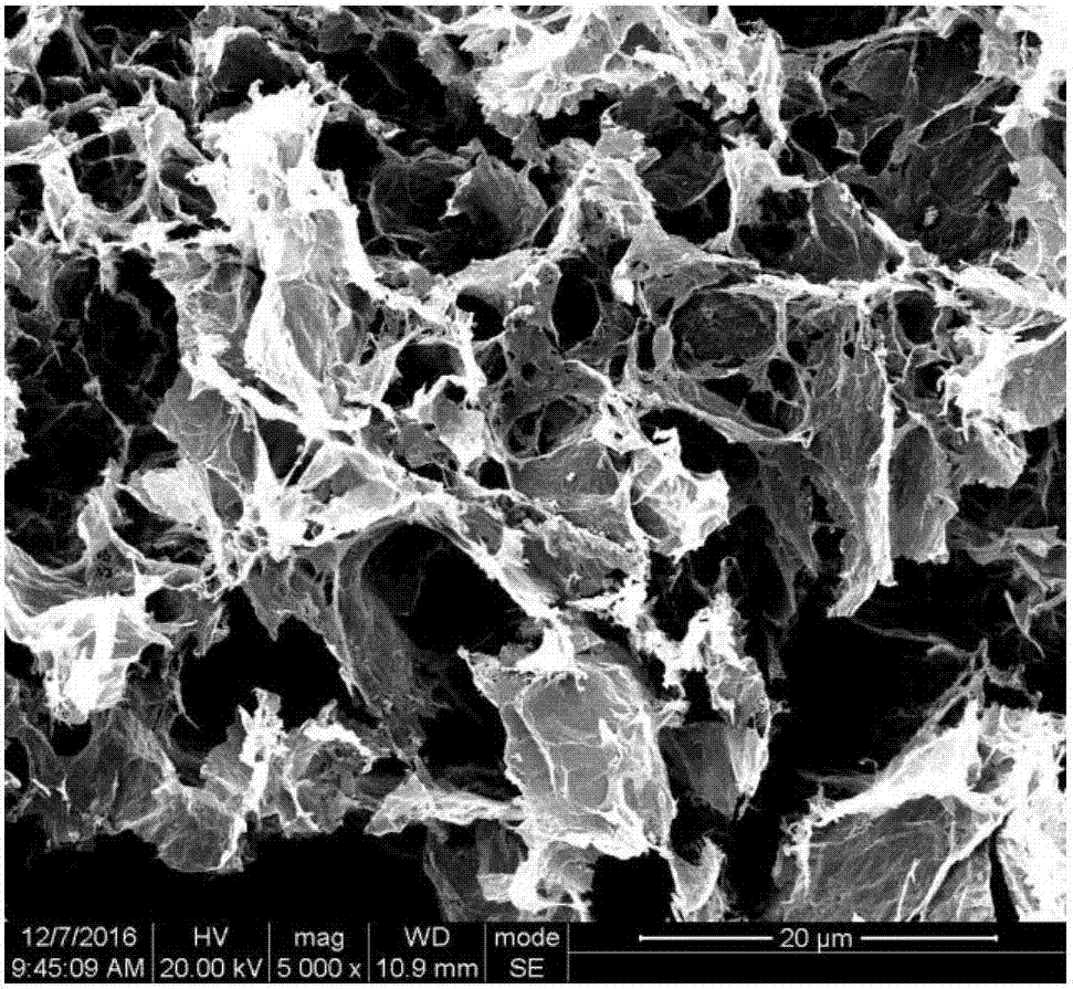 Three-dimensional porous structure silicon/graphene composite negative electrode material and preparation method thereof