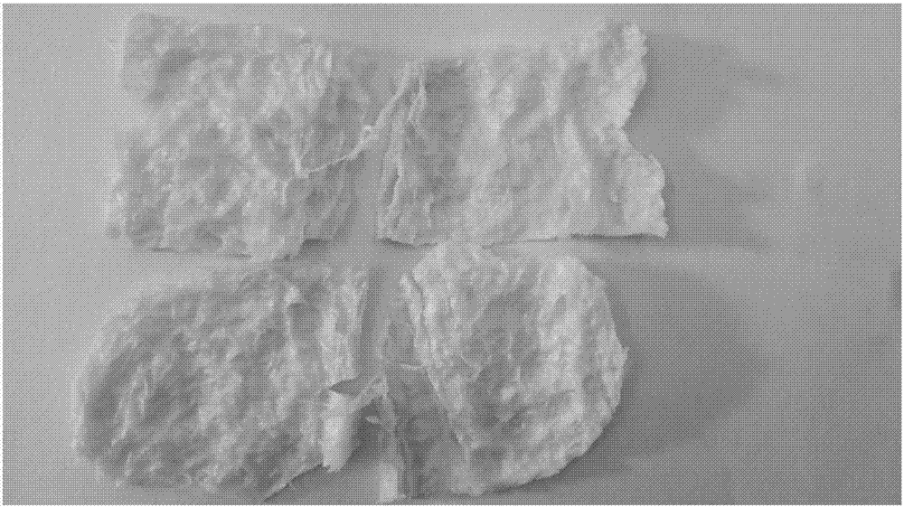 Complete wheat tissue protein and industrialized preparation method thereof