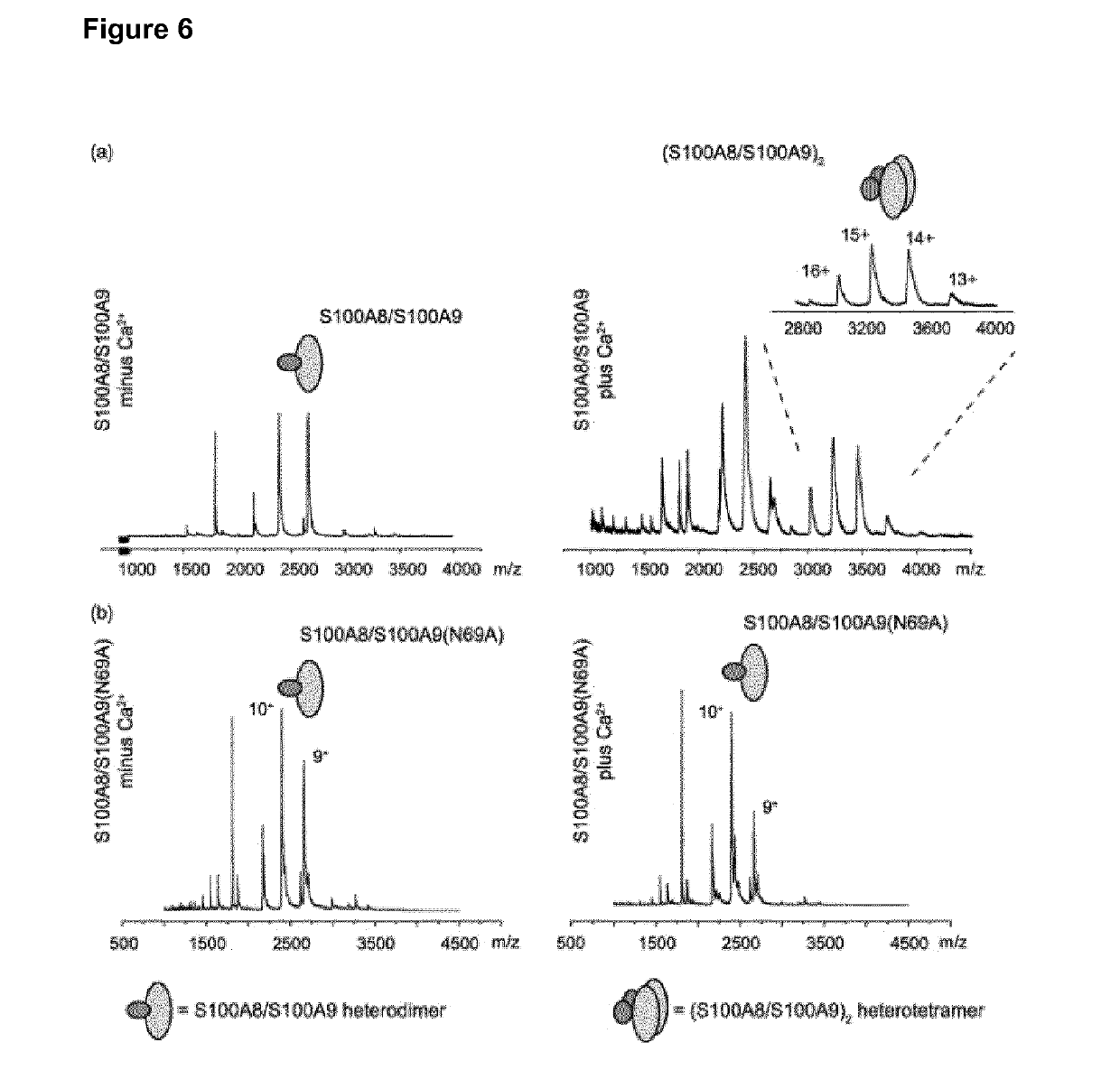 Complex-specific standardization of immunological methods for the quantification of s100a12