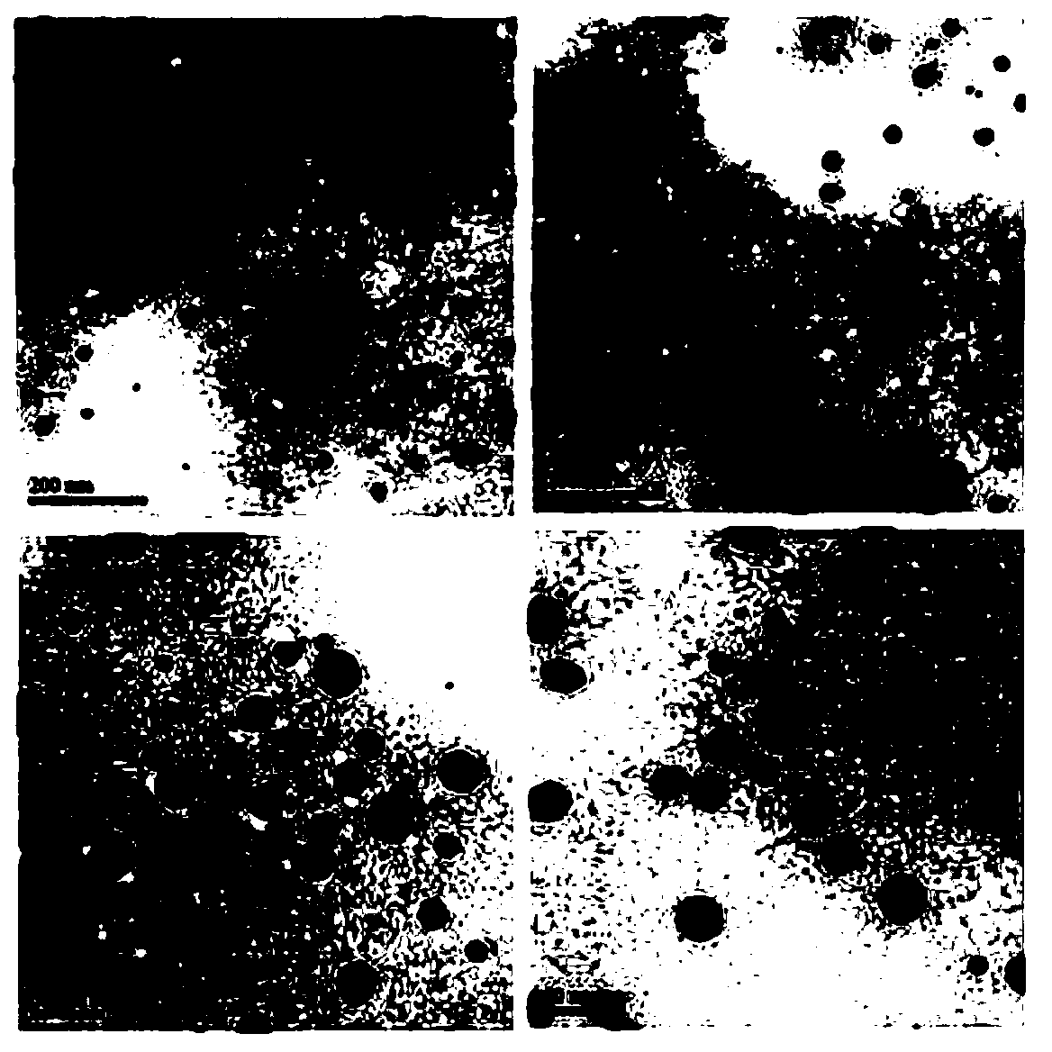 Method of green synthesis of nanogold through kiwi fruit juice