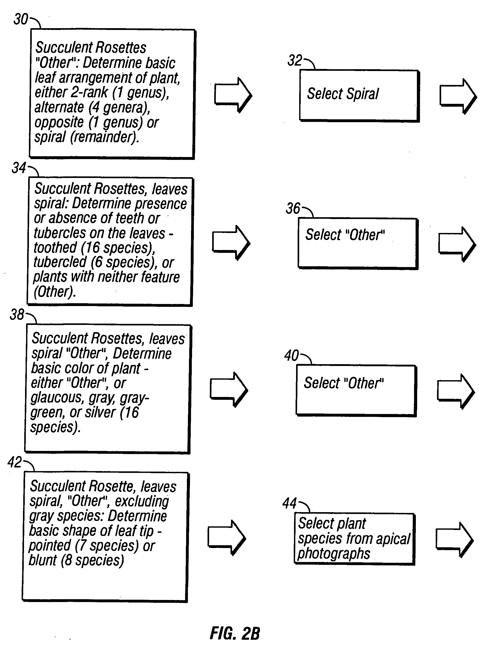 System and method for plant identification