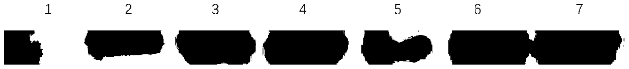 Expression method of earthworm antibacterial peptide