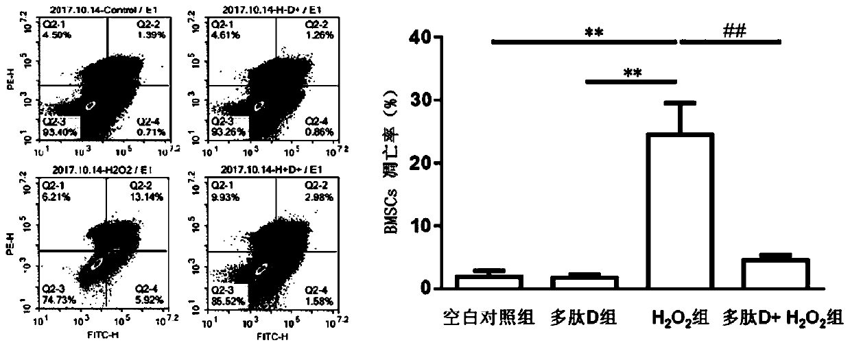 Fusion polypeptide, application of fusion polypeptide in enhancement of stem cell homing ability and anti-apoptotic ability and pharmaceutical composition