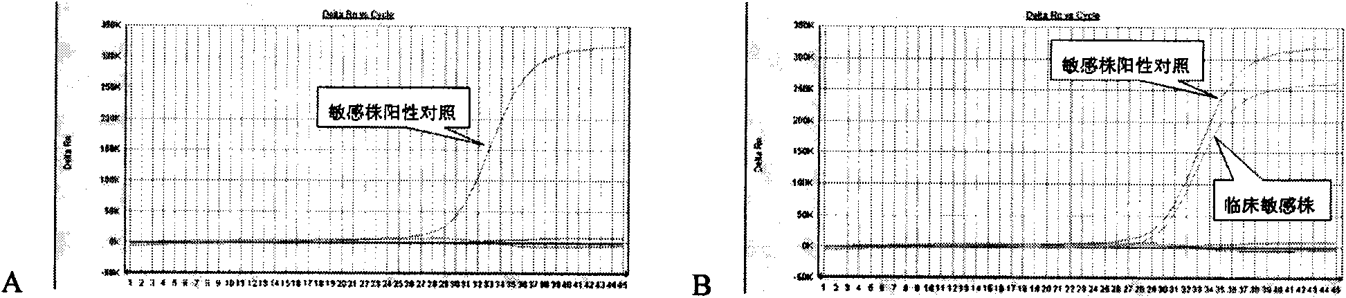 Method for detecting resistant mutant of mycoplasma pneumoniae