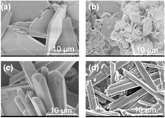 Biodegradable strontium-doped calcium sulfate material having biological activity, and its preparation method and use