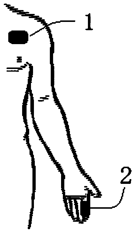 A non-invasive beat-by-beat blood pressure measurement device and measurement method based on dual pulse waves