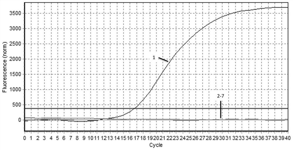 A primer probe set, kit and detection method for detecting duck astrovirus type 3 based on real-time fluorescent quantitative PCR