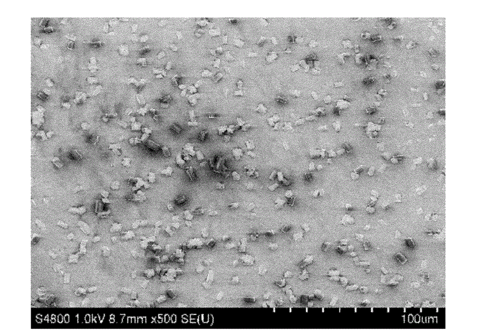 Iridium metal coordination compound organic fluorescent nanoparticles and preparation method thereof