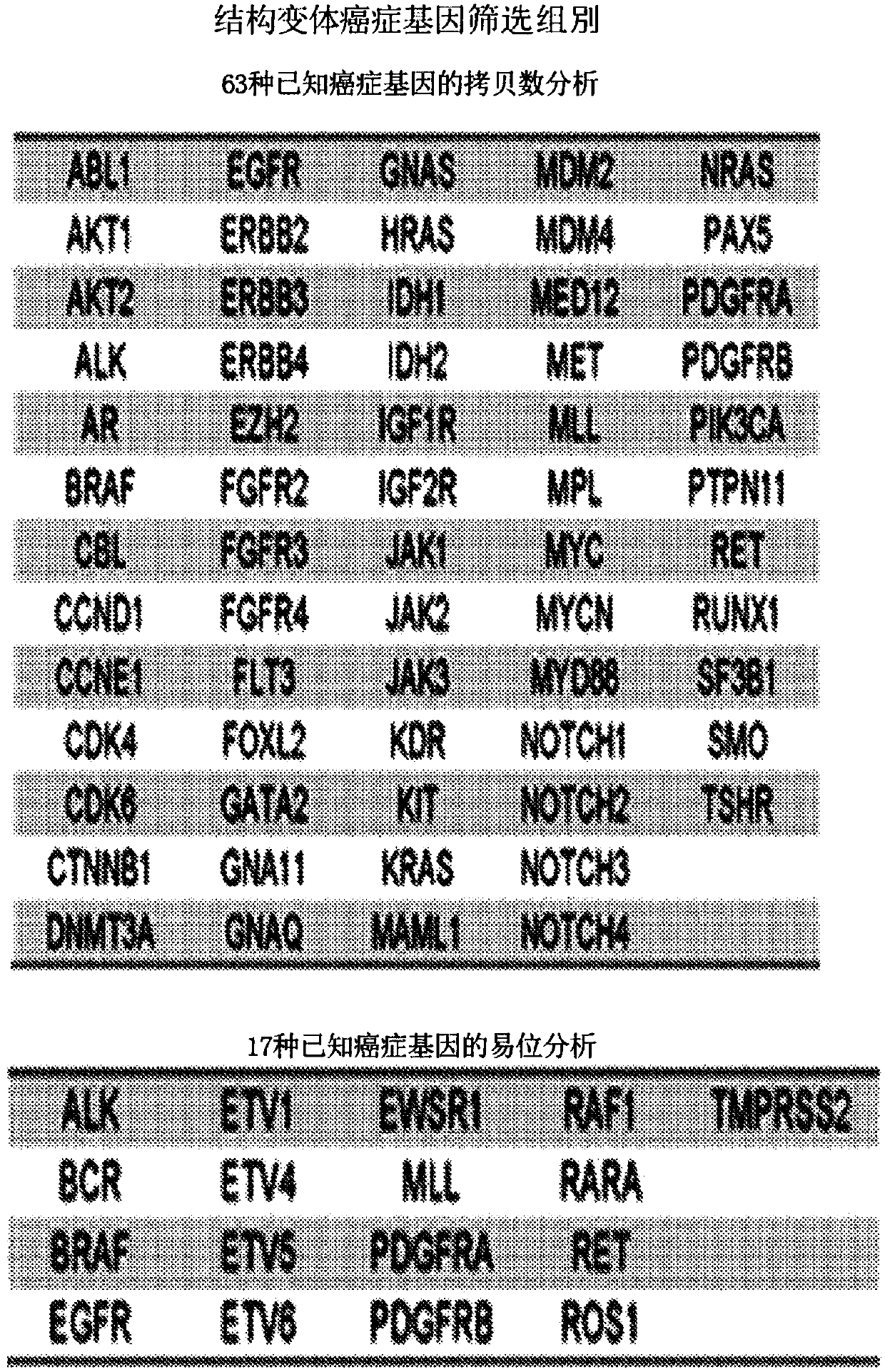 Systems and methods for analyzing nucleic acid