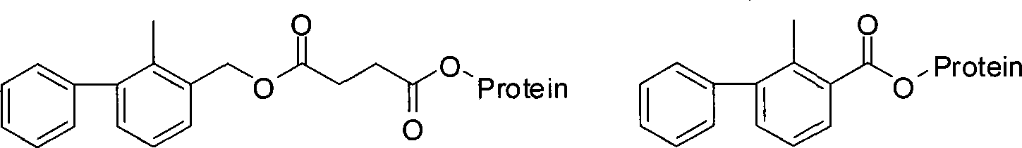 Bifenthrin antigen, antibody and uses thereof