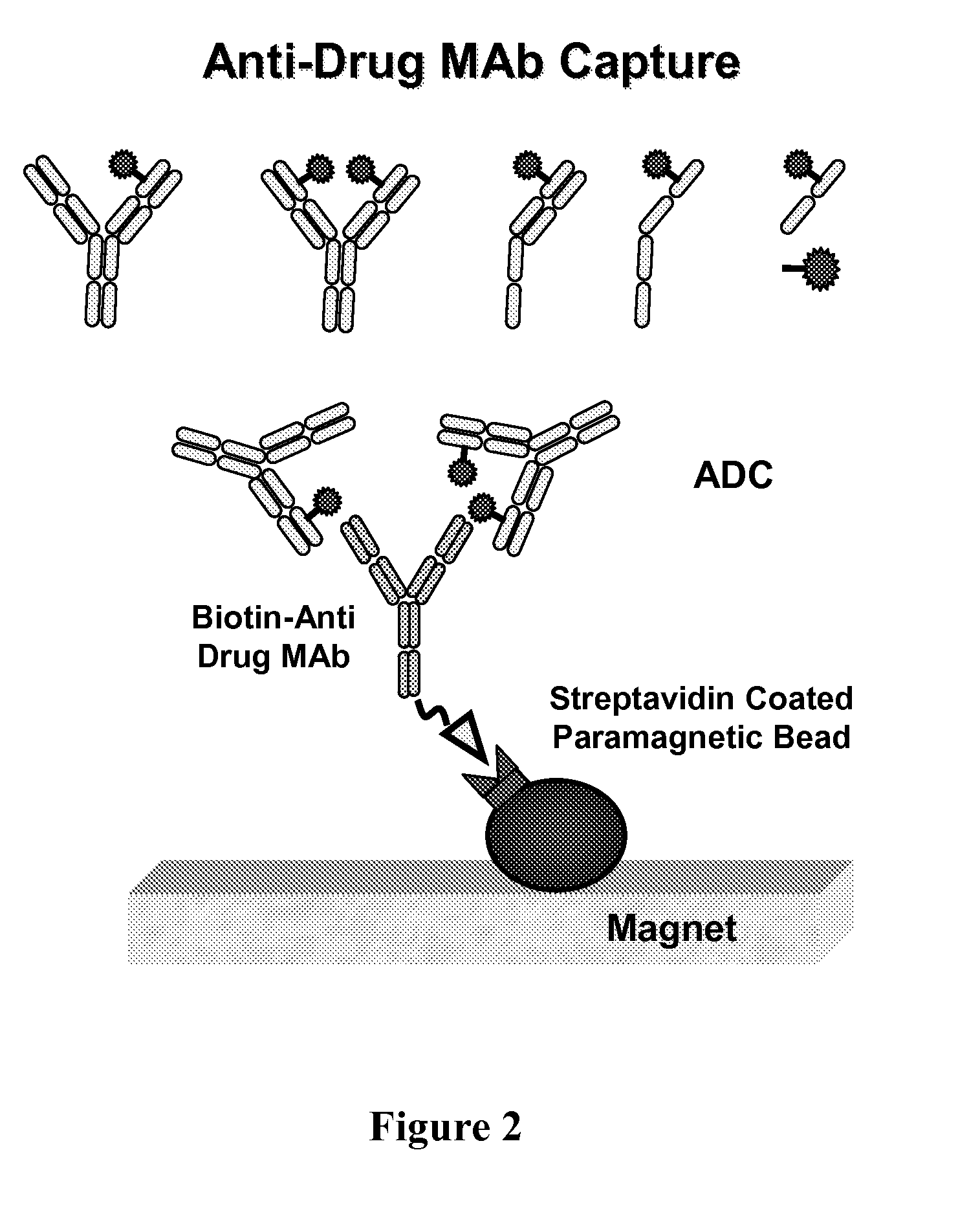 Analysis of antibody drug conjugates by bead-based affinity capture and mass spectrometry