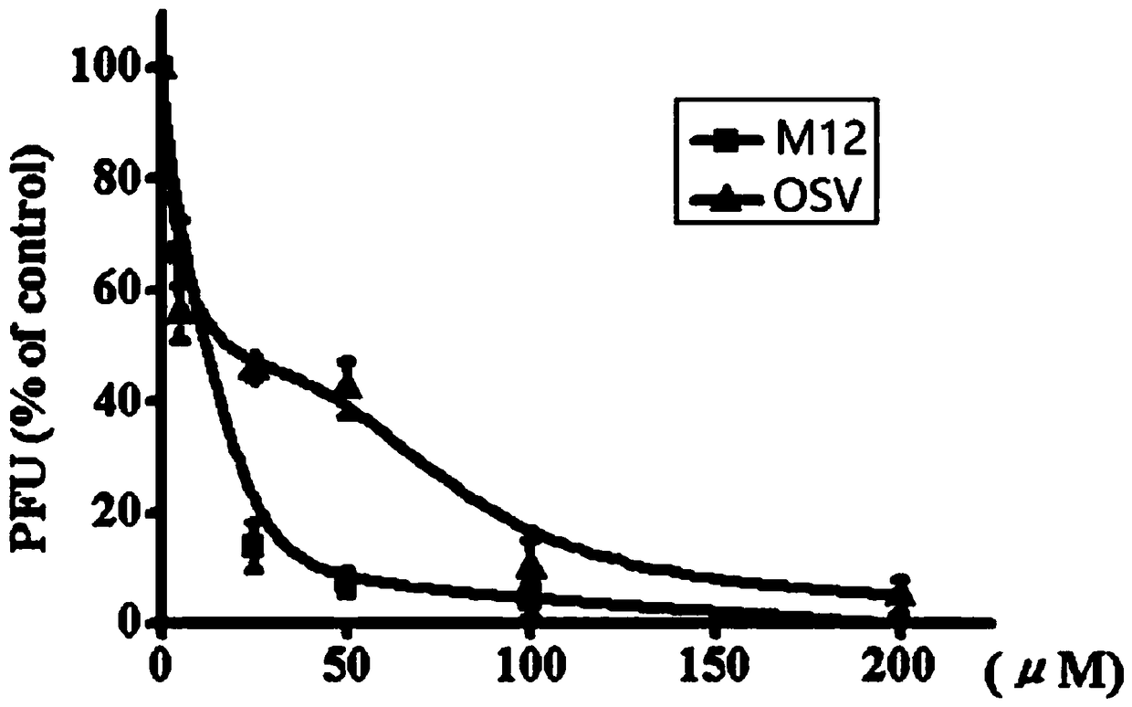 Triterpene-amino acid derivative as well as preparation method and application thereof