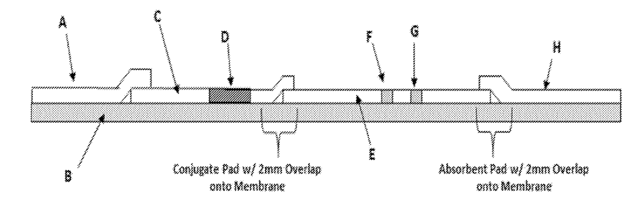 Combo-Hepatitis Antigen Assays and Kits for Detection of Active Hepatitis Virus Infections