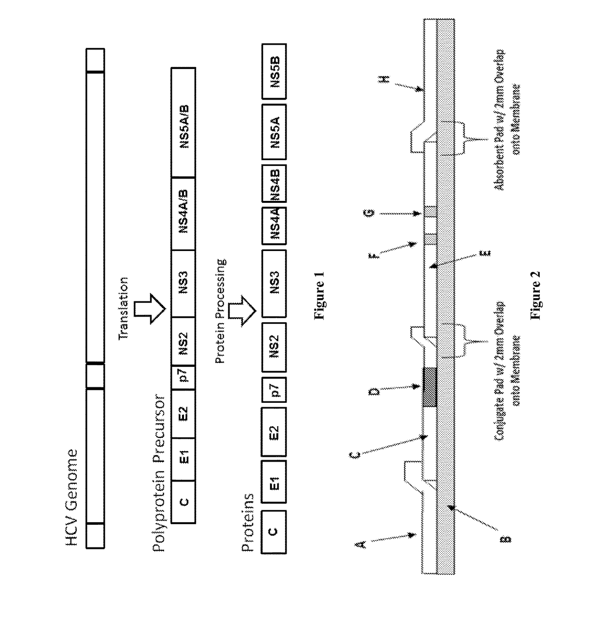 Combo-Hepatitis Antigen Assays and Kits for Detection of Active Hepatitis Virus Infections