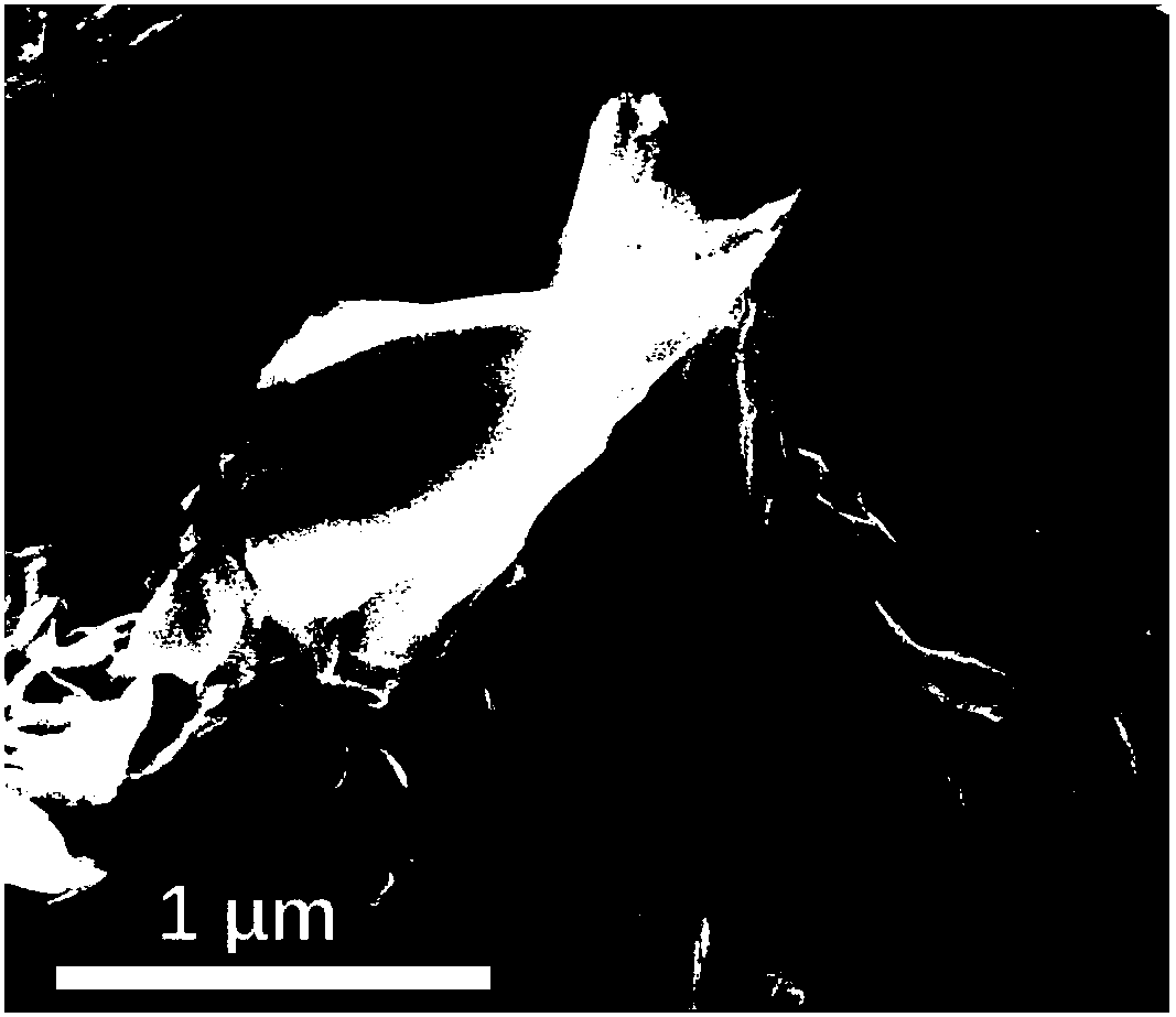 Soybean biological base fuel cell oxygen reduction catalyst and preparation method and application thereof