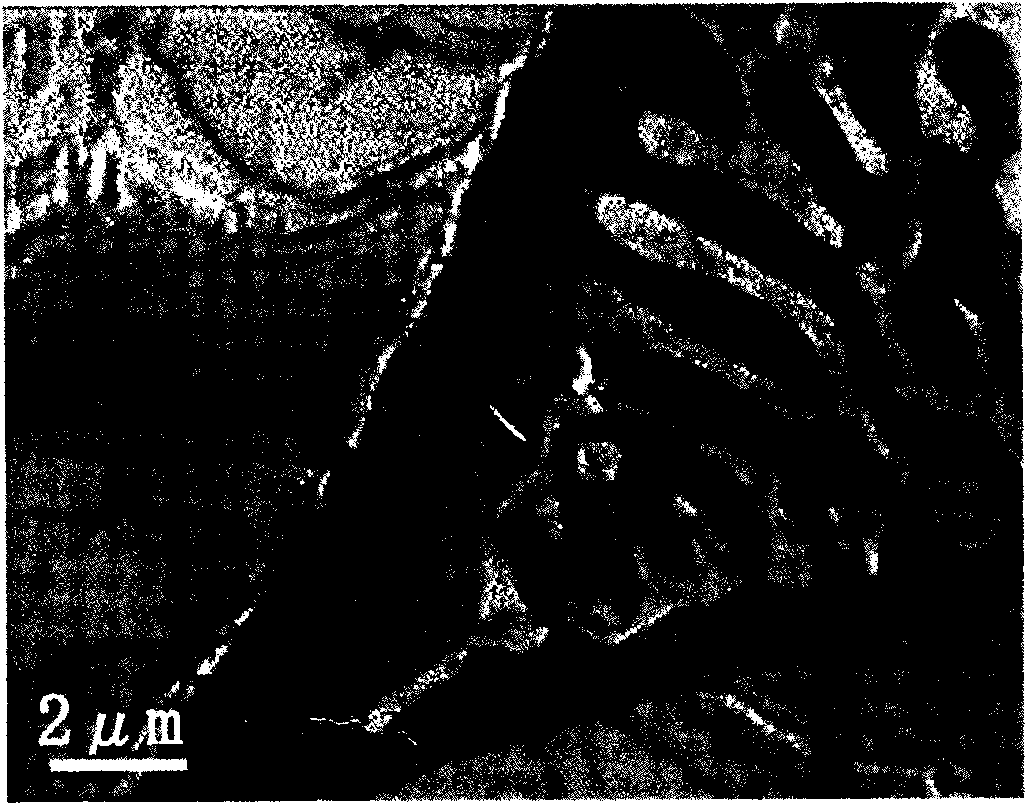 Heat-resistant magnesium alloy