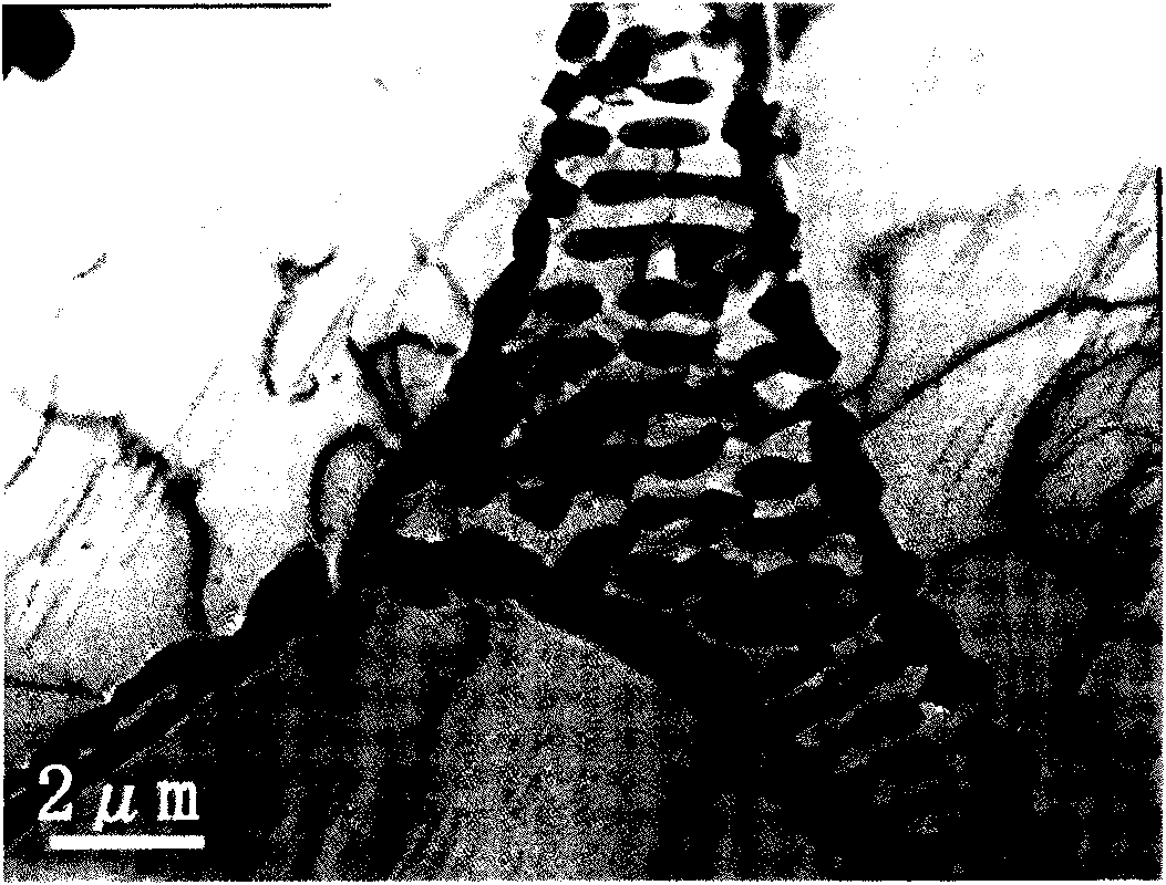 Heat-resistant magnesium alloy